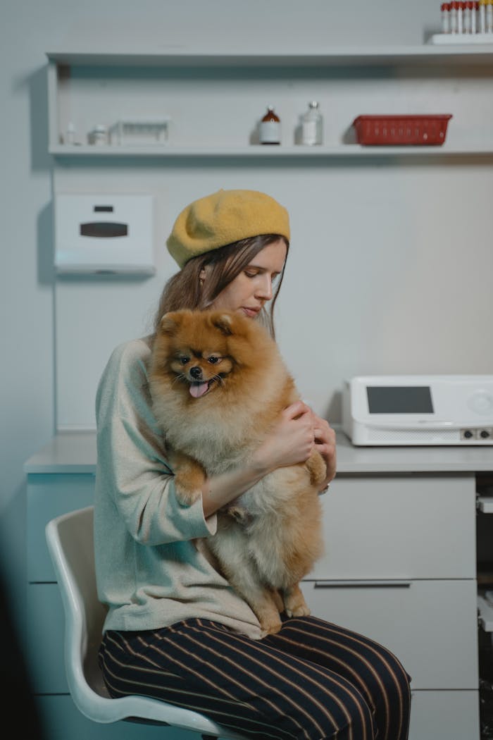 Woman sitting in a clinic holding a fluffy Pomeranian dog, creating a warm atmosphere.